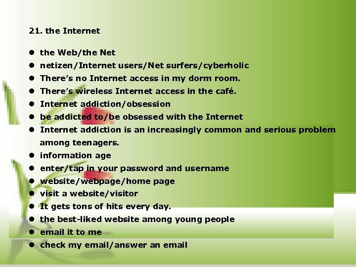 21. the Internet l the Web/the Net l netizen/Internet users/Net surfers/cyberholic l There’s no
