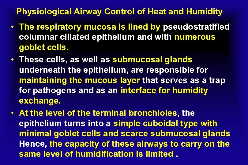 Physiological Airway Control of Heat and Humidity • The respiratory mucosa is lined by