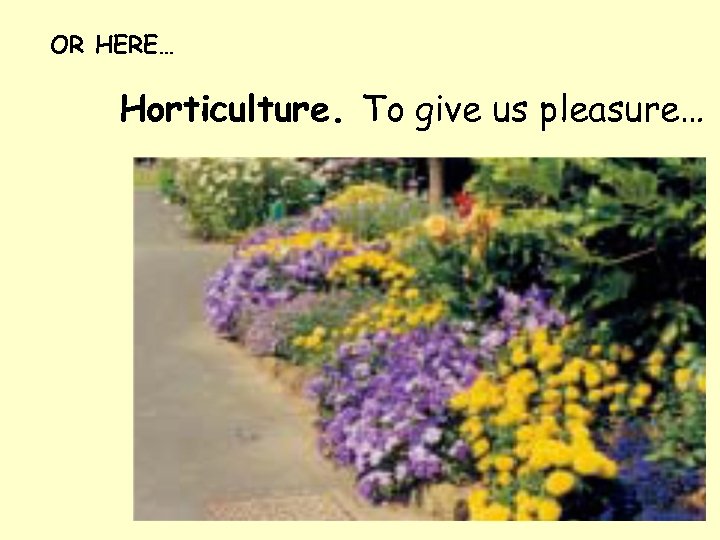 OR HERE… Horticulture. To give us pleasure… 