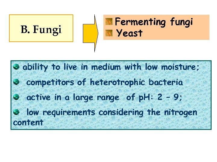 B. Fungi Fermenting fungi Yeast ability to live in medium with low moisture; competitors