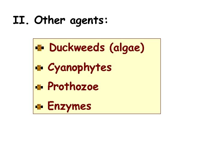 II. Other agents: Duckweeds (algae) Cyanophytes Prothozoe Enzymes 