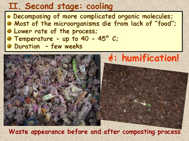 II. Second stage: cooling Decomposing of more complicated organic molecules; Most of the microorganisms