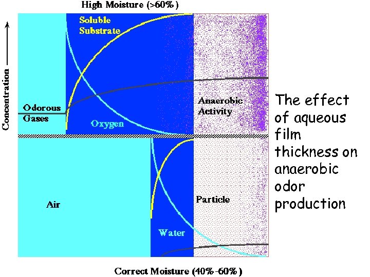 The effect of aqueous film thickness on anaerobic odor production 