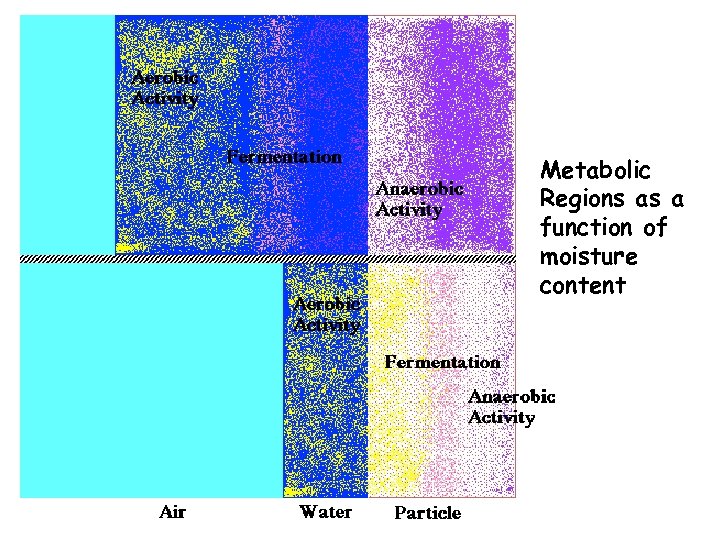 Metabolic Regions as a function of moisture content 