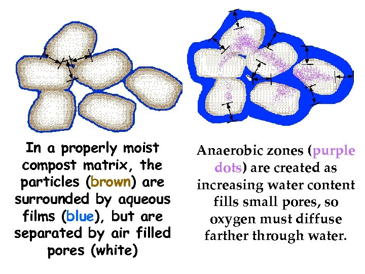 In a properly moist compost matrix, the particles (brown) are surrounded by aqueous films