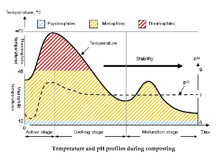 Temperature and p. H profiles during composting 