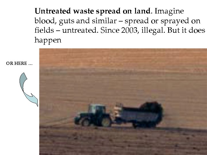 Untreated waste spread on land. Imagine blood, guts and similar – spread or sprayed