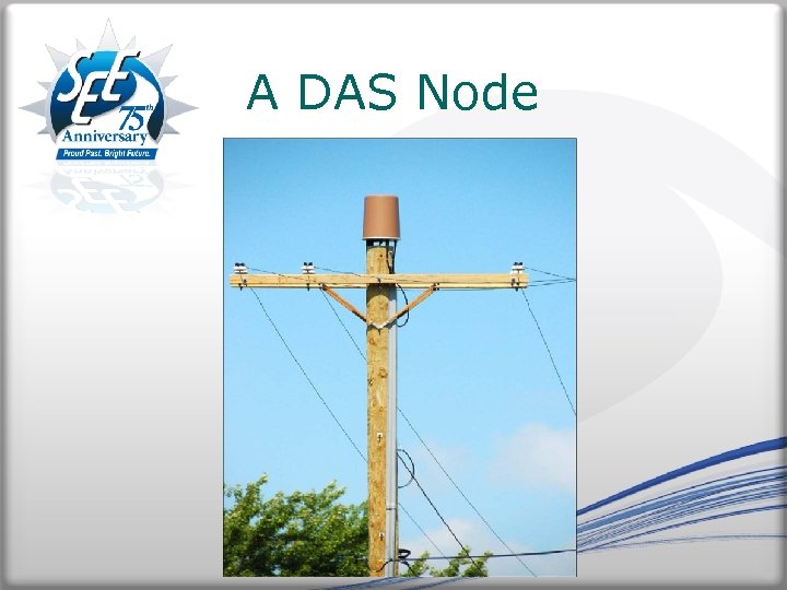 A DAS Node 