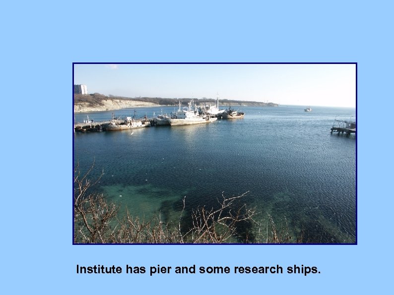Institute has pier and some research ships. 