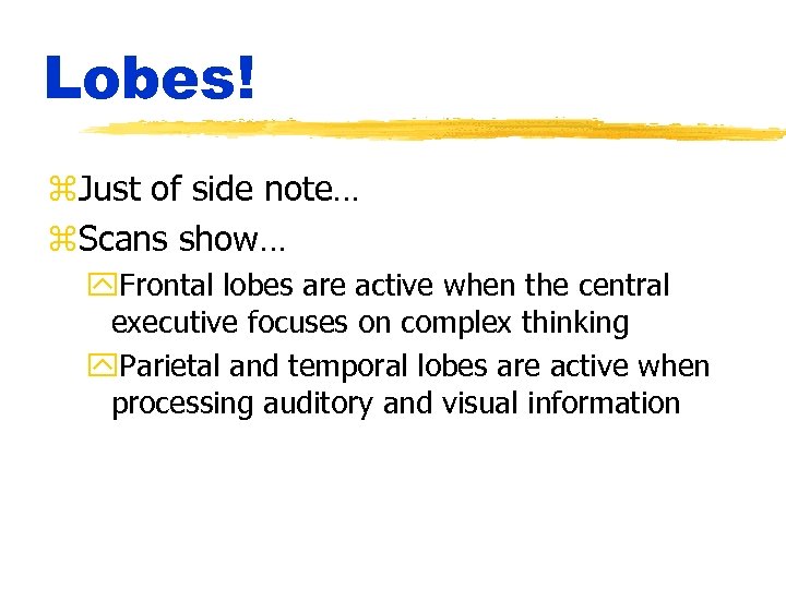 Lobes! z. Just of side note… z. Scans show… y. Frontal lobes are active