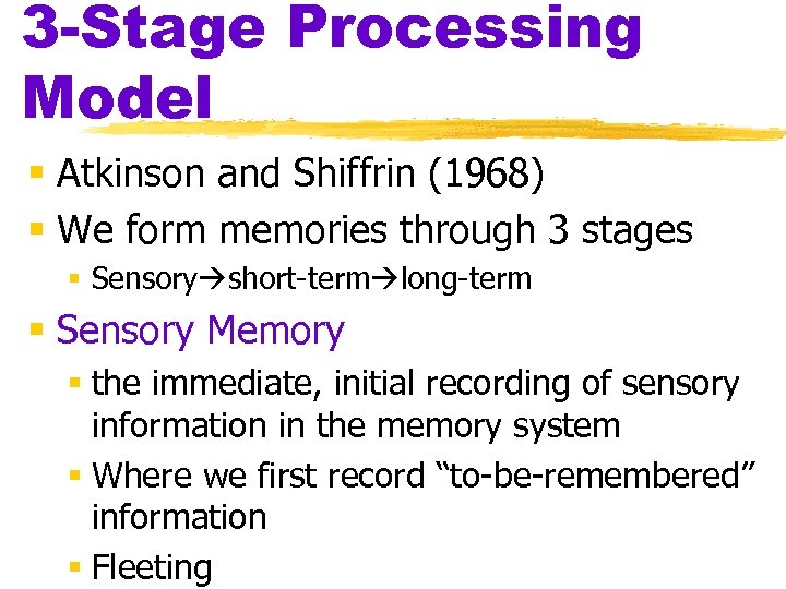 3 -Stage Processing Model § Atkinson and Shiffrin (1968) § We form memories through
