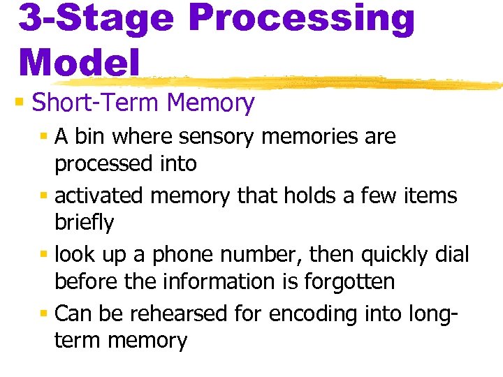 3 -Stage Processing Model § Short-Term Memory § A bin where sensory memories are