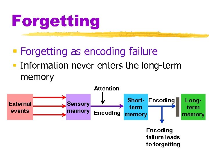 Forgetting § Forgetting as encoding failure § Information never enters the long-term memory Attention