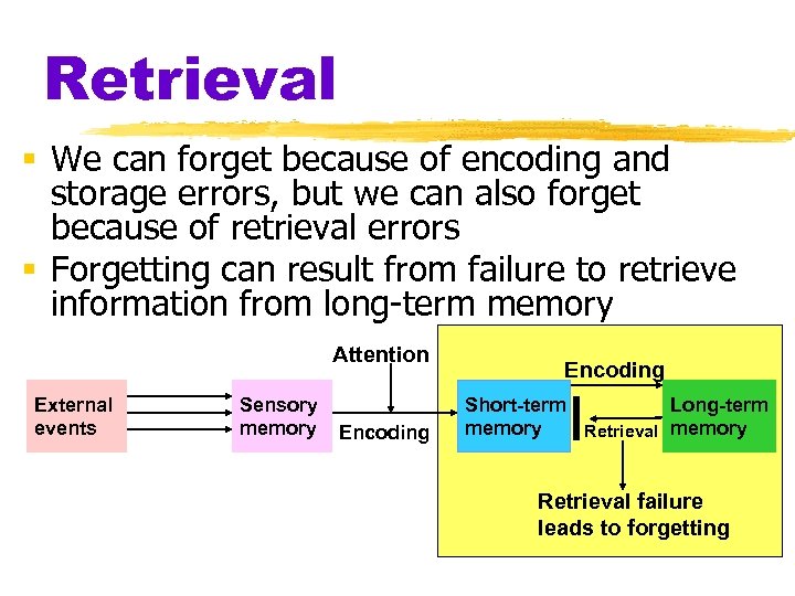 Retrieval § We can forget because of encoding and storage errors, but we can