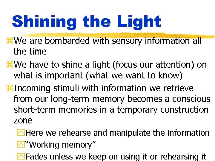 Shining the Light z. We are bombarded with sensory information all the time z.