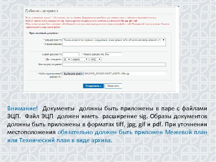 Внимание! Документы должны быть приложены в паре с файлами ЭЦП. Файл ЭЦП должен иметь