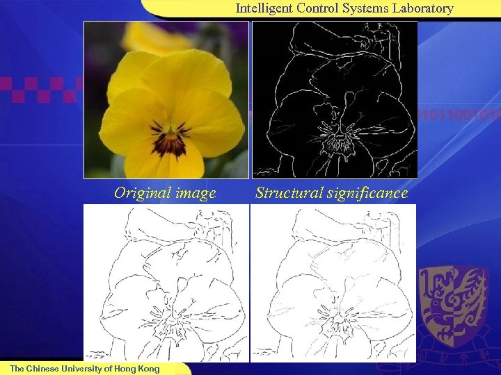 Intelligent Control Systems Laboratory Original image The Chinese University of Hong Kong Structural significance