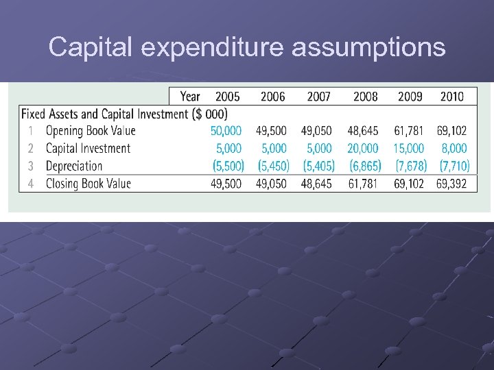 Capital expenditure assumptions 