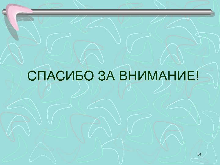СПАСИБО ЗА ВНИМАНИЕ! 14 