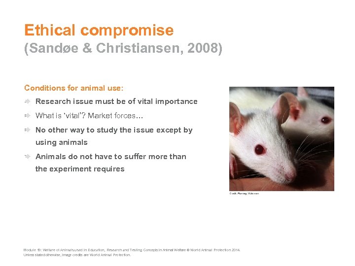 Ethical compromise (Sandøe & Christiansen, 2008) Conditions for animal use: Research issue must be