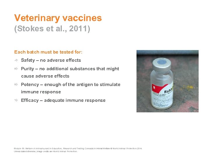 Veterinary vaccines (Stokes et al. , 2011) Each batch must be tested for: Safety