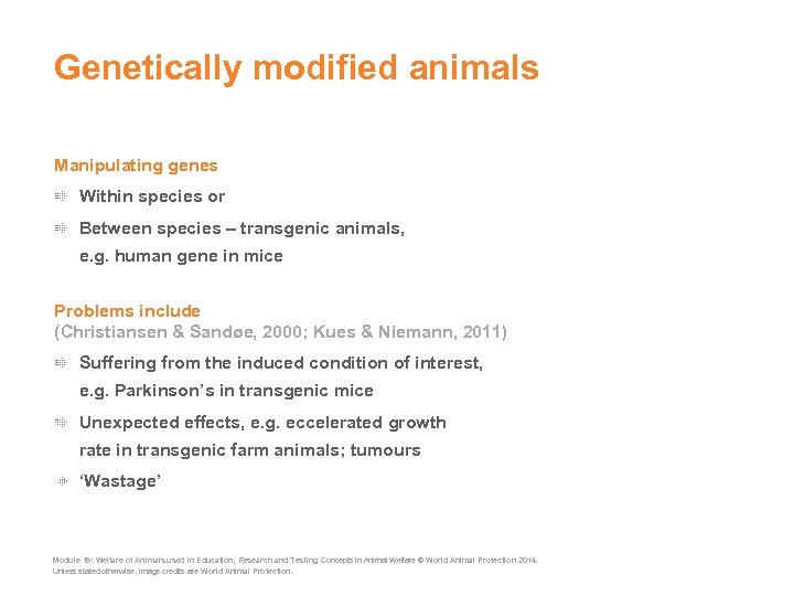 Genetically modified animals Manipulating genes Within species or Between species – transgenic animals, e.