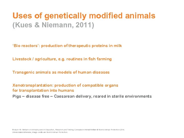 Uses of genetically modified animals (Kues & Niemann, 2011) ‘Bio reactors’: production of therapeutic