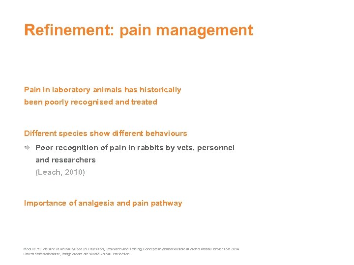 Refinement: pain management Pain in laboratory animals has historically been poorly recognised and treated