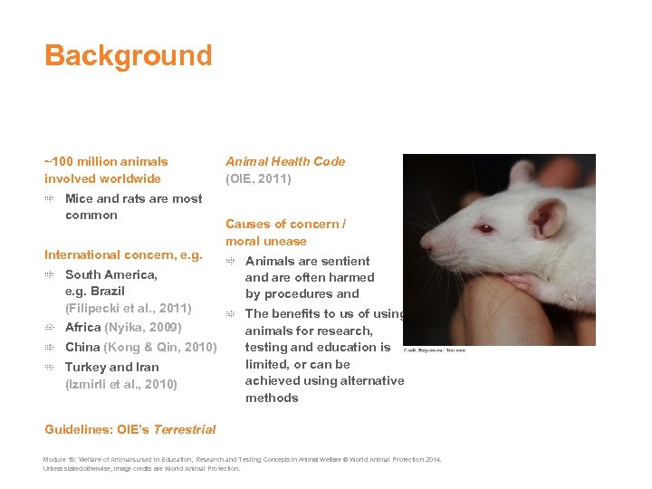 Background ~100 million animals involved worldwide Mice and rats are most common International concern,