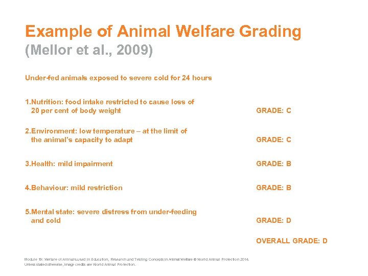 Example of Animal Welfare Grading (Mellor et al. , 2009) Under-fed animals exposed to