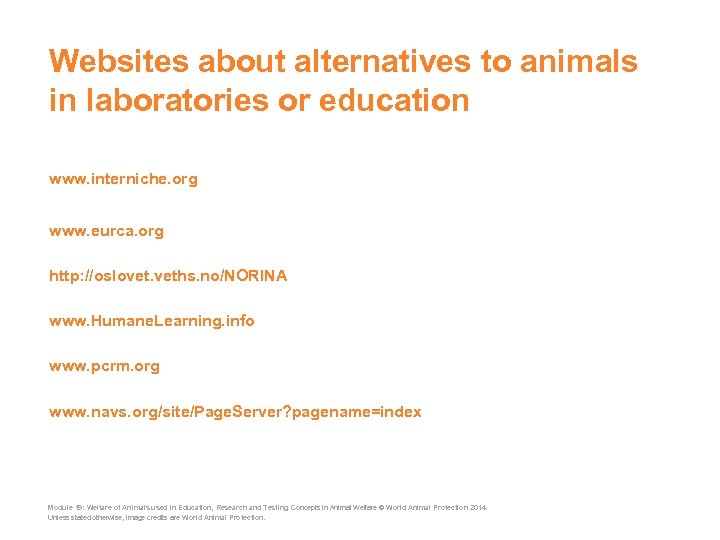 Websites about alternatives to animals in laboratories or education www. interniche. org www. eurca.