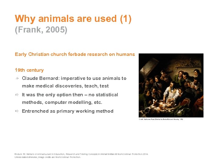 Why animals are used (1) (Frank, 2005) Early Christian church forbade research on humans