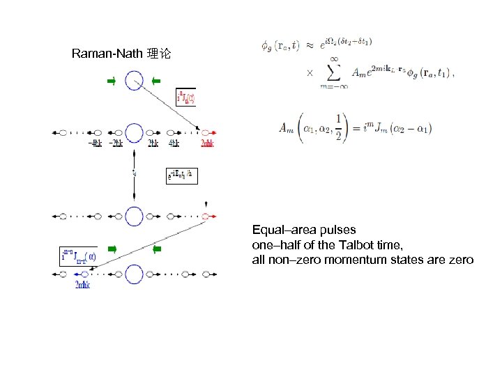Raman-Nath 理论 Equal–area pulses one–half of the Talbot time, all non–zero momentum states are