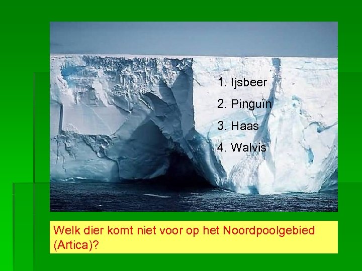 1. Ijsbeer 2. Pinguïn 3. Haas 4. Walvis Welk dier komt niet voor op