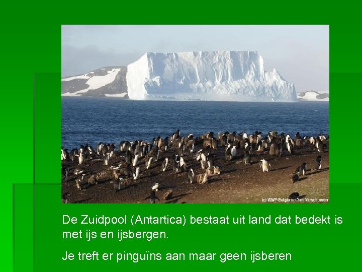 De Zuidpool (Antartica) bestaat uit land dat bedekt is met ijs en ijsbergen. Je