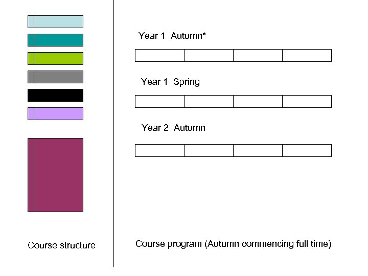 Year 1 Autumn* Year 1 Spring Year 2 Autumn Course structure Course program (Autumn