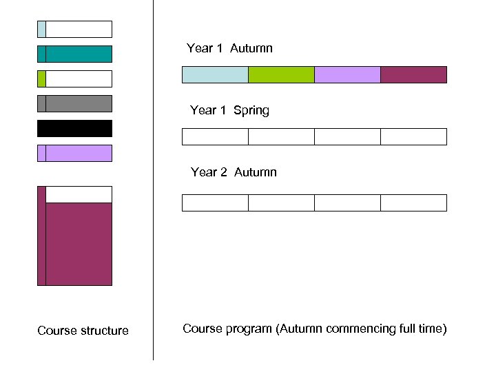 Year 1 Autumn Year 1 Spring Year 2 Autumn Course structure Course program (Autumn