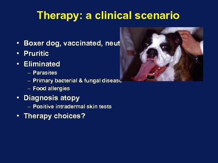 Therapy: a clinical scenario • Boxer dog, vaccinated, neutered • Pruritic • Eliminated –