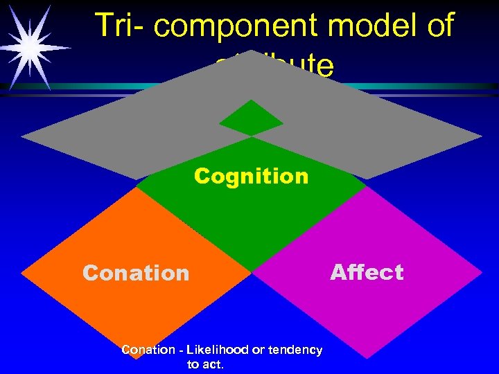 Tri- component model of attribute Cognition Conation - Likelihood or tendency to act. Affect