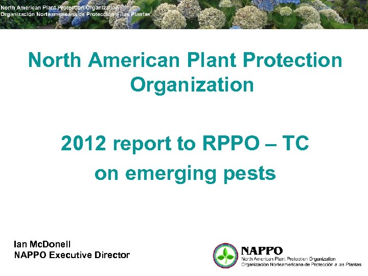 North American Plant Protection Organization 2012 report to RPPO – TC on emerging pests