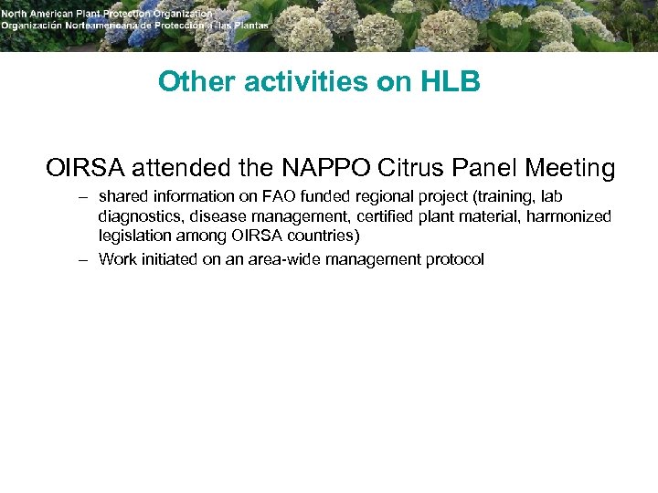 Other activities on HLB OIRSA attended the NAPPO Citrus Panel Meeting – shared information