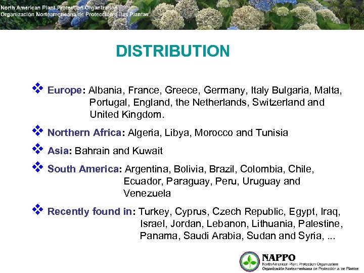 DISTRIBUTION v Europe: Albania, France, Greece, Germany, Italy Bulgaria, Malta, Portugal, England, the Netherlands,