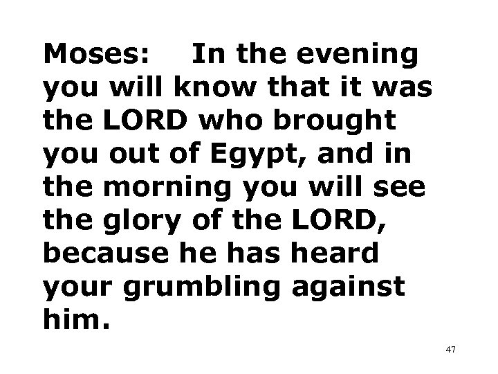 Moses: In the evening you will know that it was the LORD who brought