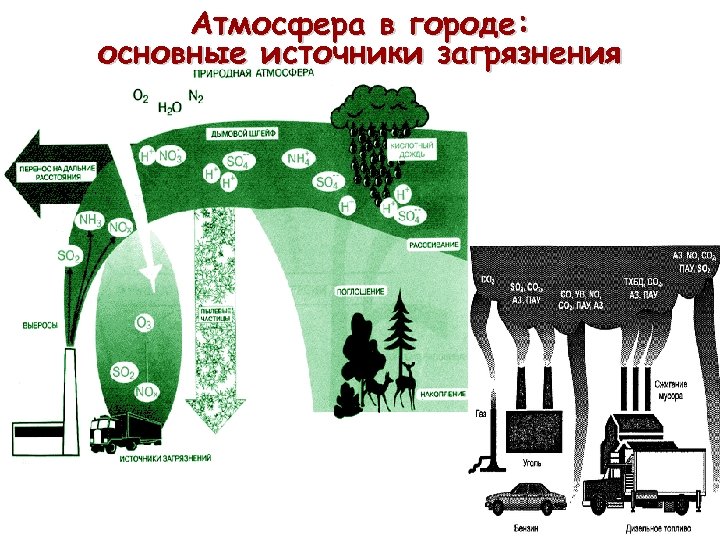 Атмосфера в городе: основные источники загрязнения 