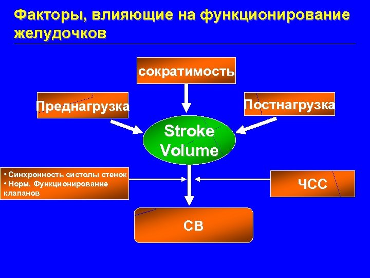 Факторы, влияющие на функционирование желудочков сократимость Постнагрузка Преднагрузка Stroke Volume • Синхронность систолы стенок