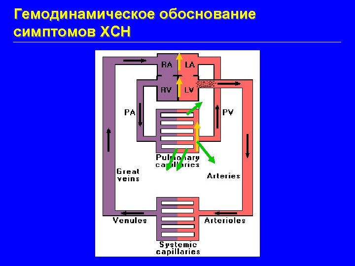 Гемодинамическое обоснование симптомов ХСН 