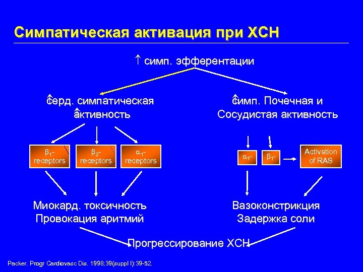 Симпатическая активация при ХСН симп. эфферентации серд ерд. симпатическая с активность а 1 receptors