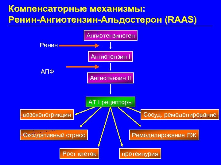 Компенсаторные механизмы: Ренин-Ангиотензин-Альдостерон (RAAS) Ангиотензиноген Ренин Ангиотензин I АПФ Ангиотензин II AT I рецепторы