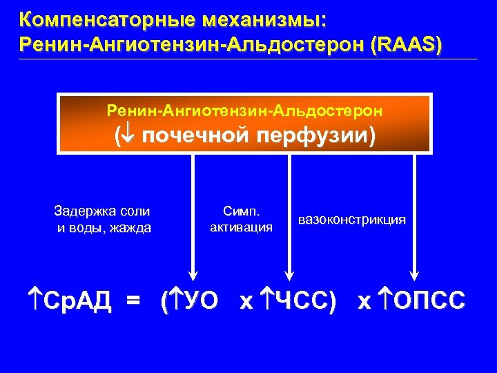 Компенсаторные механизмы: Ренин-Ангиотензин-Альдостерон (RAAS) Ренин-Ангиотензин-Альдостерон ( почечной перфузии) Задержка соли и воды, жажда Симп.