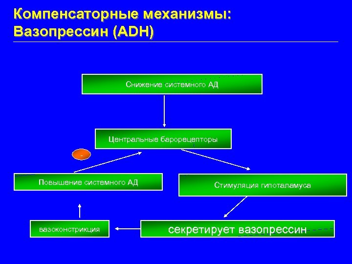 Компенсаторные механизмы: Вазопрессин (ADH) Снижение системного АД Центральные барорецепторы Повышение системного АД вазоконстрикция Стимуляция